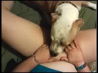 Kinky bitch getting pussy eaten by dog while rubbing it